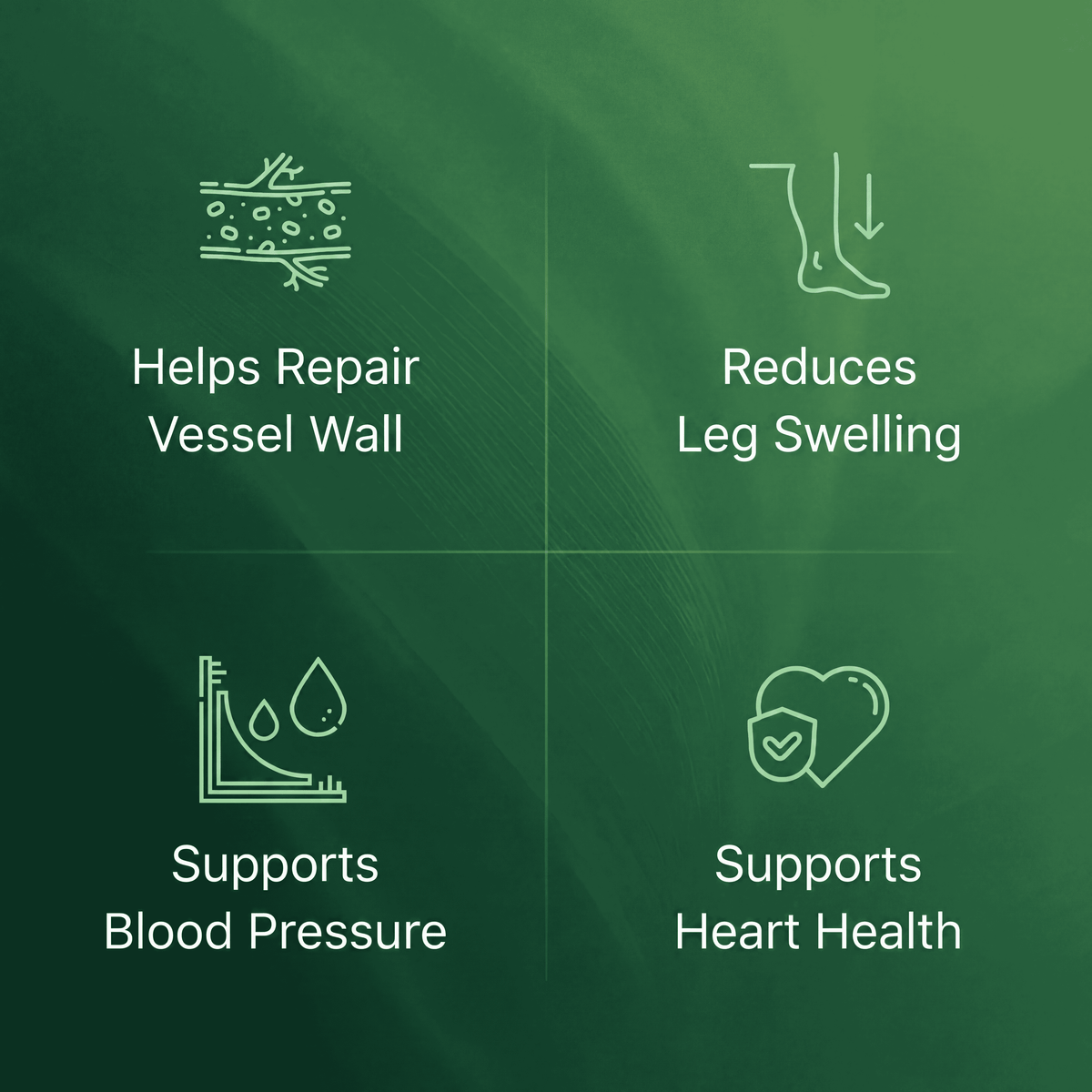 Corvexa Grape Seed Extract