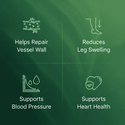 Corvexa Grape Seed Extract