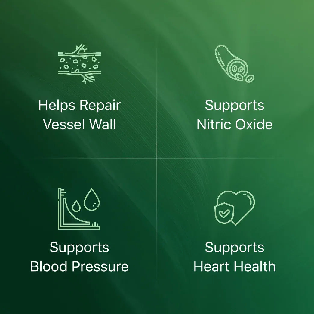 Corvexa Grape Seed Extract